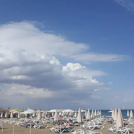 Alex Beach 31 Daire *