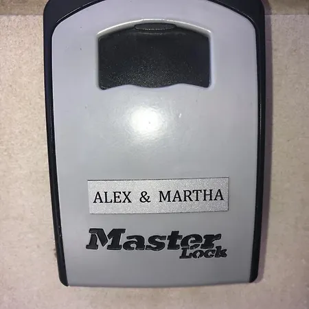 Alex 31