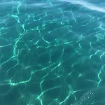 Alex 31 Larnaca