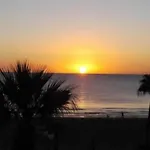 Alex 31 Larnaca