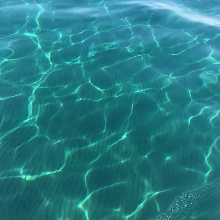 Alex 31 Larnaca