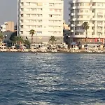 Alex 31