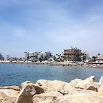 Alex 31